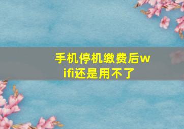 手机停机缴费后wifi还是用不了