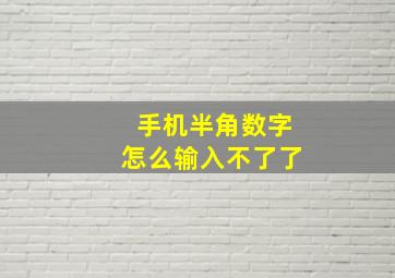 手机半角数字怎么输入不了了