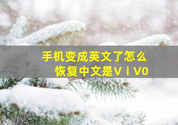 手机变成英文了怎么恢复中文是VⅰV0