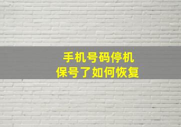 手机号码停机保号了如何恢复