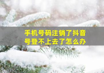 手机号码注销了抖音号登不上去了怎么办