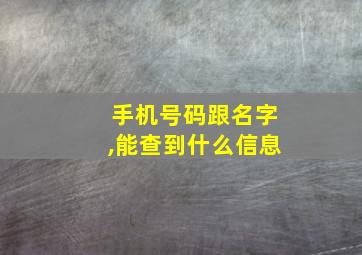 手机号码跟名字,能查到什么信息