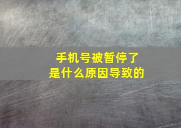 手机号被暂停了是什么原因导致的