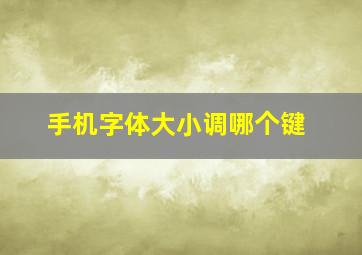 手机字体大小调哪个键