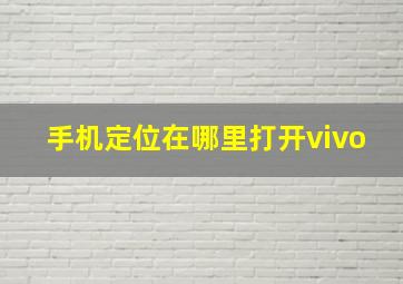 手机定位在哪里打开vivo