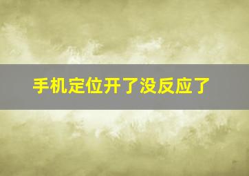 手机定位开了没反应了