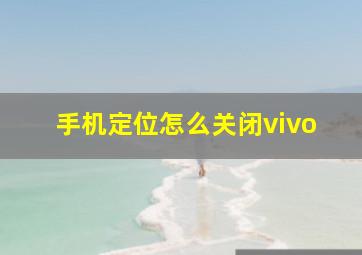 手机定位怎么关闭vivo