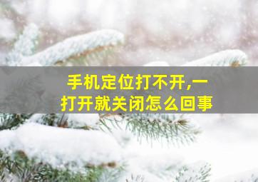 手机定位打不开,一打开就关闭怎么回事