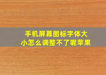 手机屏幕图标字体大小怎么调整不了呢苹果