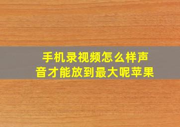 手机录视频怎么样声音才能放到最大呢苹果