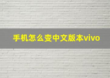 手机怎么变中文版本vivo