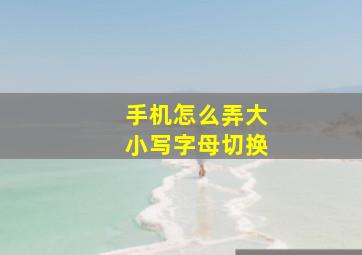 手机怎么弄大小写字母切换