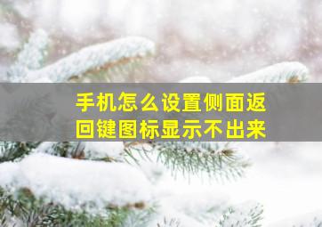 手机怎么设置侧面返回键图标显示不出来