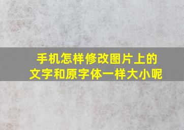 手机怎样修改图片上的文字和原字体一样大小呢