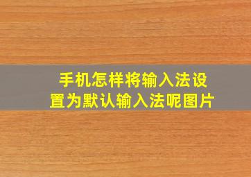 手机怎样将输入法设置为默认输入法呢图片