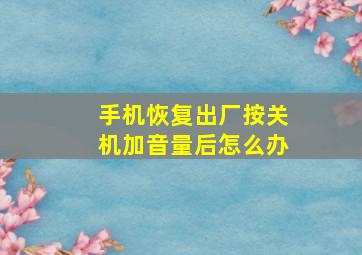 手机恢复出厂按关机加音量后怎么办