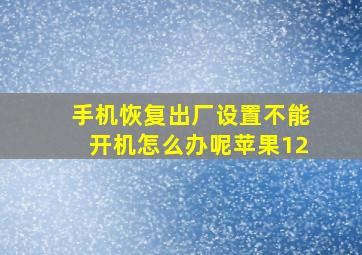 手机恢复出厂设置不能开机怎么办呢苹果12