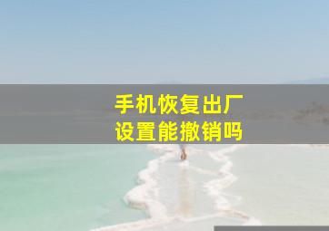 手机恢复出厂设置能撤销吗