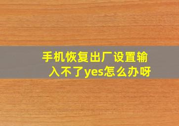 手机恢复出厂设置输入不了yes怎么办呀