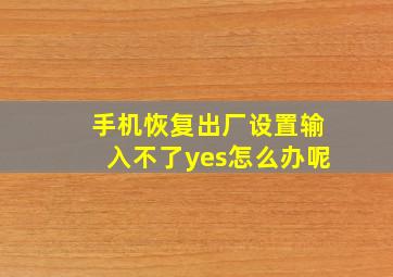 手机恢复出厂设置输入不了yes怎么办呢