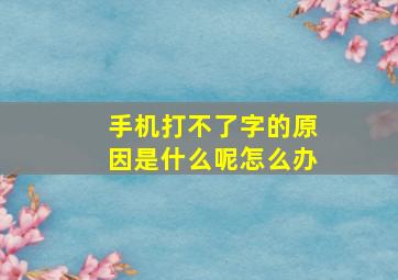 手机打不了字的原因是什么呢怎么办