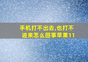 手机打不出去,也打不进来怎么回事苹果11