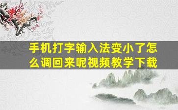 手机打字输入法变小了怎么调回来呢视频教学下载