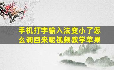 手机打字输入法变小了怎么调回来呢视频教学苹果