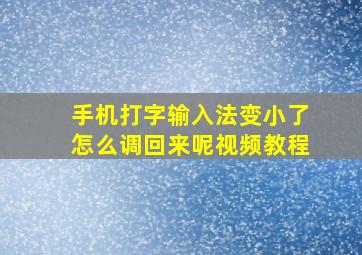 手机打字输入法变小了怎么调回来呢视频教程