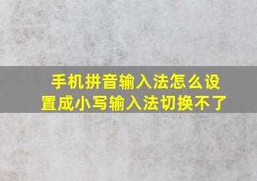 手机拼音输入法怎么设置成小写输入法切换不了