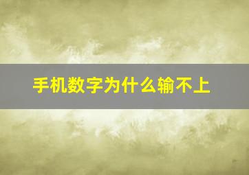 手机数字为什么输不上