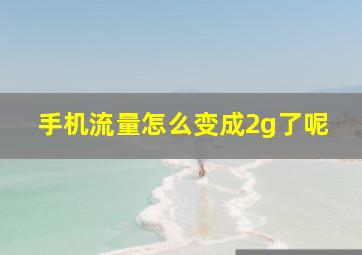 手机流量怎么变成2g了呢