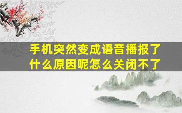 手机突然变成语音播报了什么原因呢怎么关闭不了