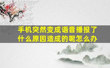 手机突然变成语音播报了什么原因造成的呢怎么办