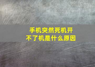 手机突然死机开不了机是什么原因