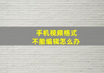 手机视频格式不能编辑怎么办