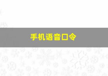 手机语音口令