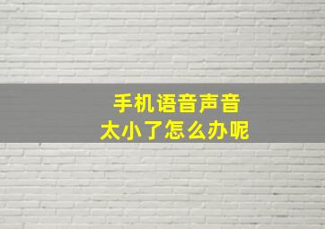 手机语音声音太小了怎么办呢