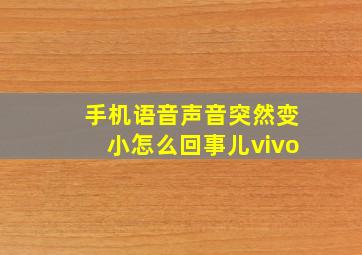 手机语音声音突然变小怎么回事儿vivo