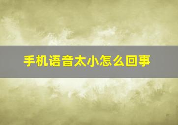 手机语音太小怎么回事