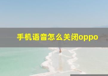 手机语音怎么关闭oppo