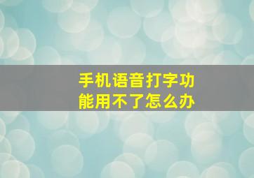 手机语音打字功能用不了怎么办