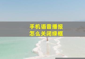 手机语音播报怎么关闭绿框