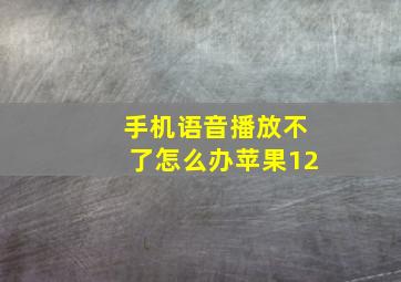 手机语音播放不了怎么办苹果12