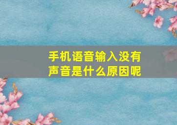 手机语音输入没有声音是什么原因呢