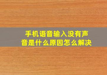 手机语音输入没有声音是什么原因怎么解决