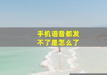 手机语音都发不了是怎么了