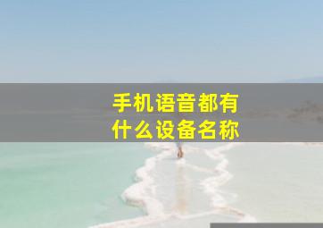 手机语音都有什么设备名称