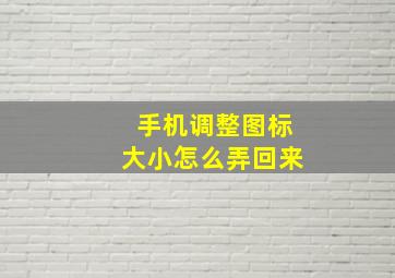 手机调整图标大小怎么弄回来