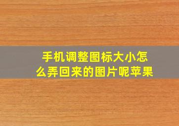 手机调整图标大小怎么弄回来的图片呢苹果